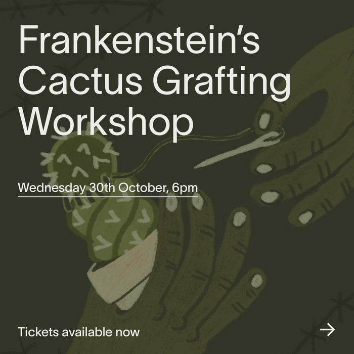 Frankenstein's Cactus Grafting Workshop